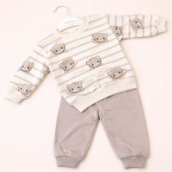 Costum striped bear